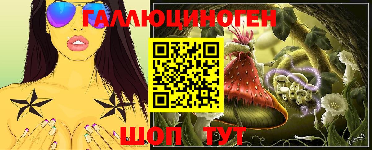 Псилоцибиновые грибы Psilocybine cubensis  Вход с VPN  Зерноград 