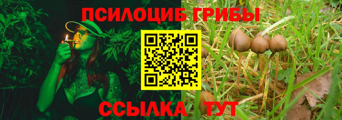 Галлюциногенные грибы мухоморы Зерноград